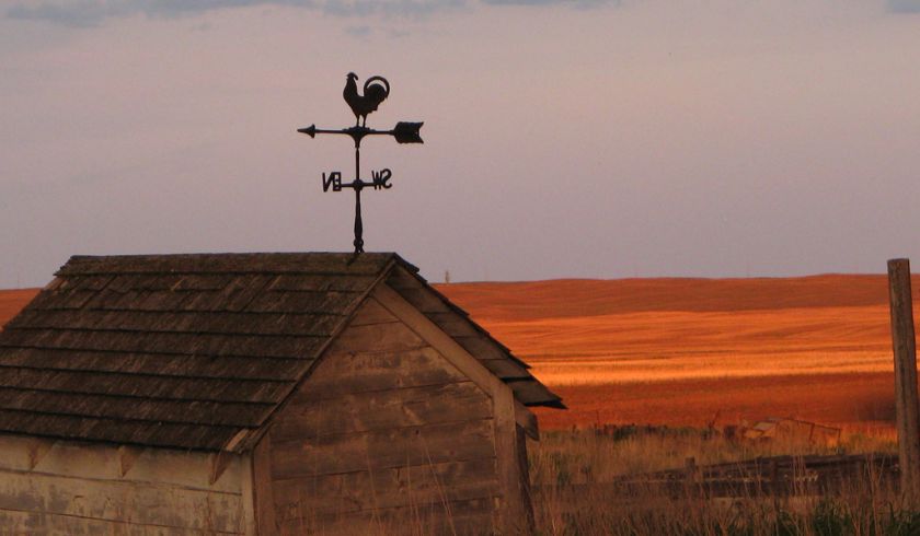 Root Cellar in The Prairies